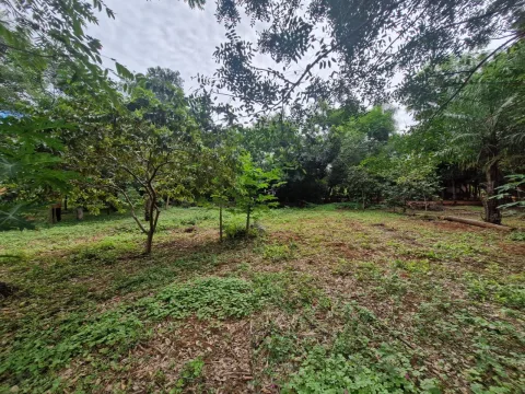 VENDO TERRENO EN AREGUA FRACCION ALICIA COD 6718 (foto 4)