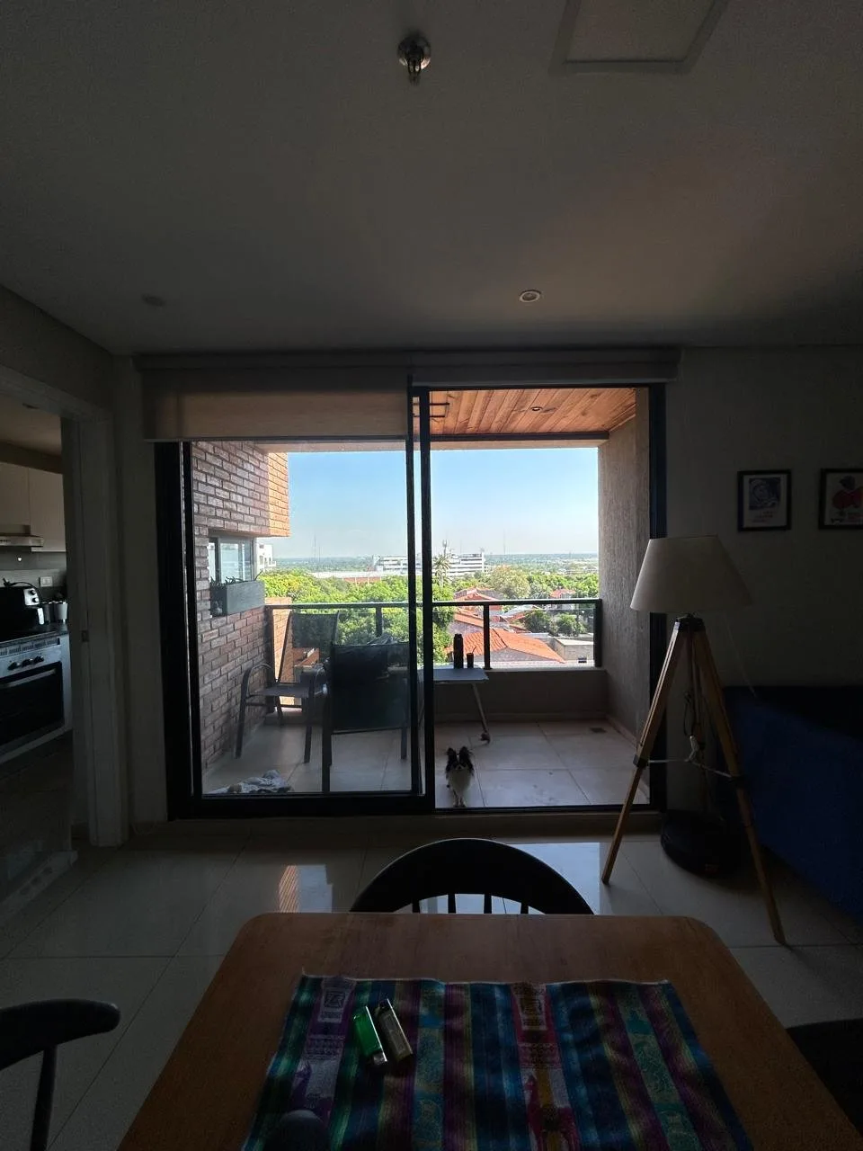 Foto 11